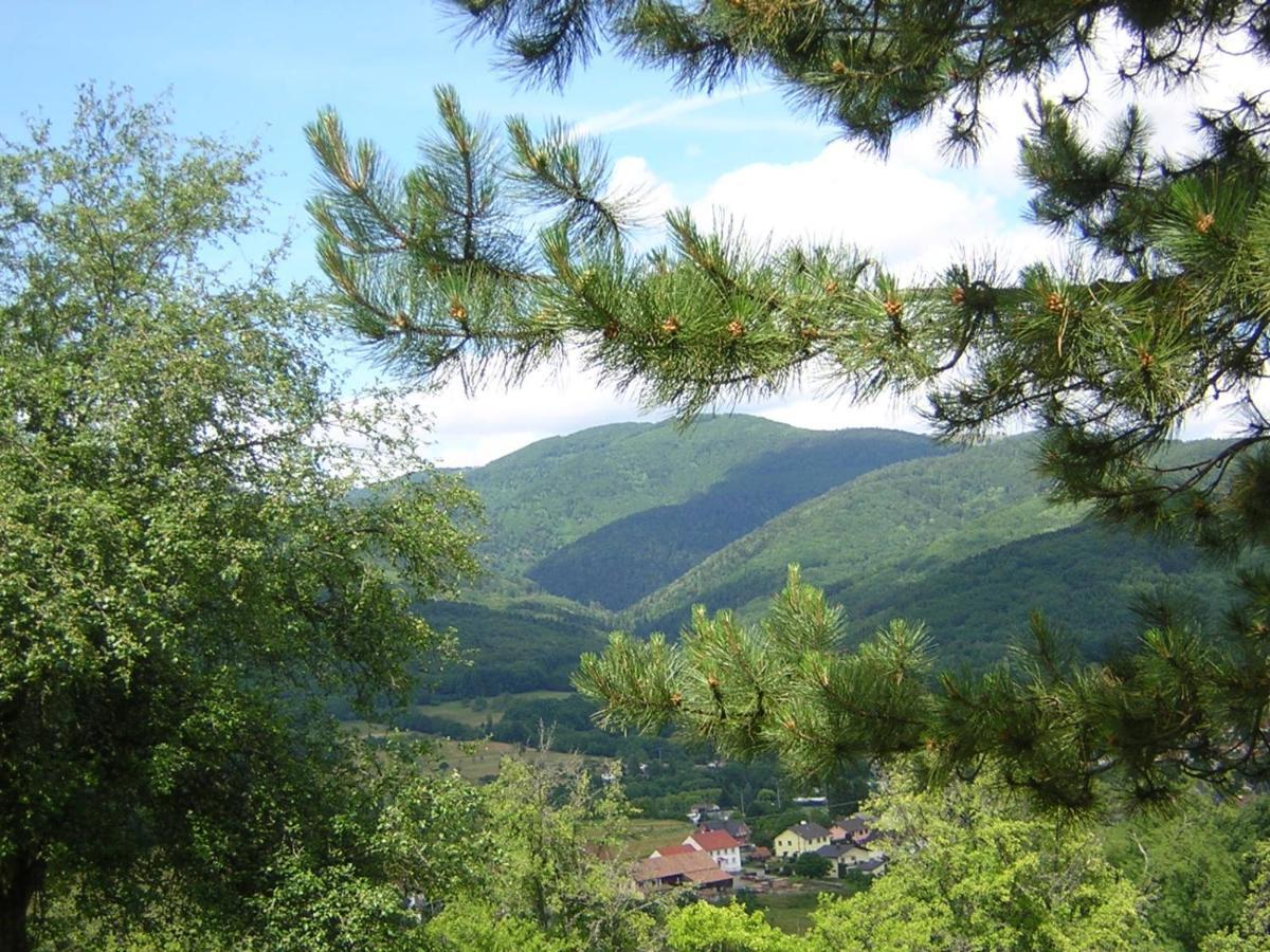 Gite Leonline Sur Les Hauteurs De Masevaux -Au Pied Des Vosges Экстерьер фото