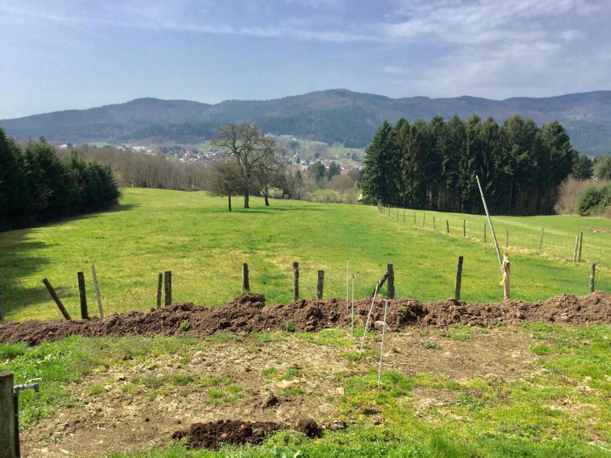 Gite Leonline Sur Les Hauteurs De Masevaux -Au Pied Des Vosges Экстерьер фото