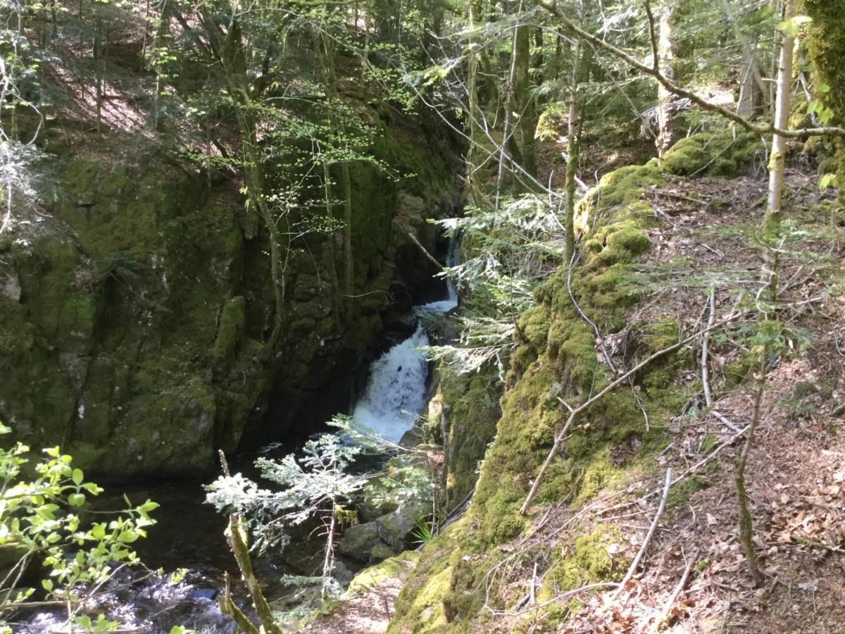 Gite Leonline Sur Les Hauteurs De Masevaux -Au Pied Des Vosges Экстерьер фото