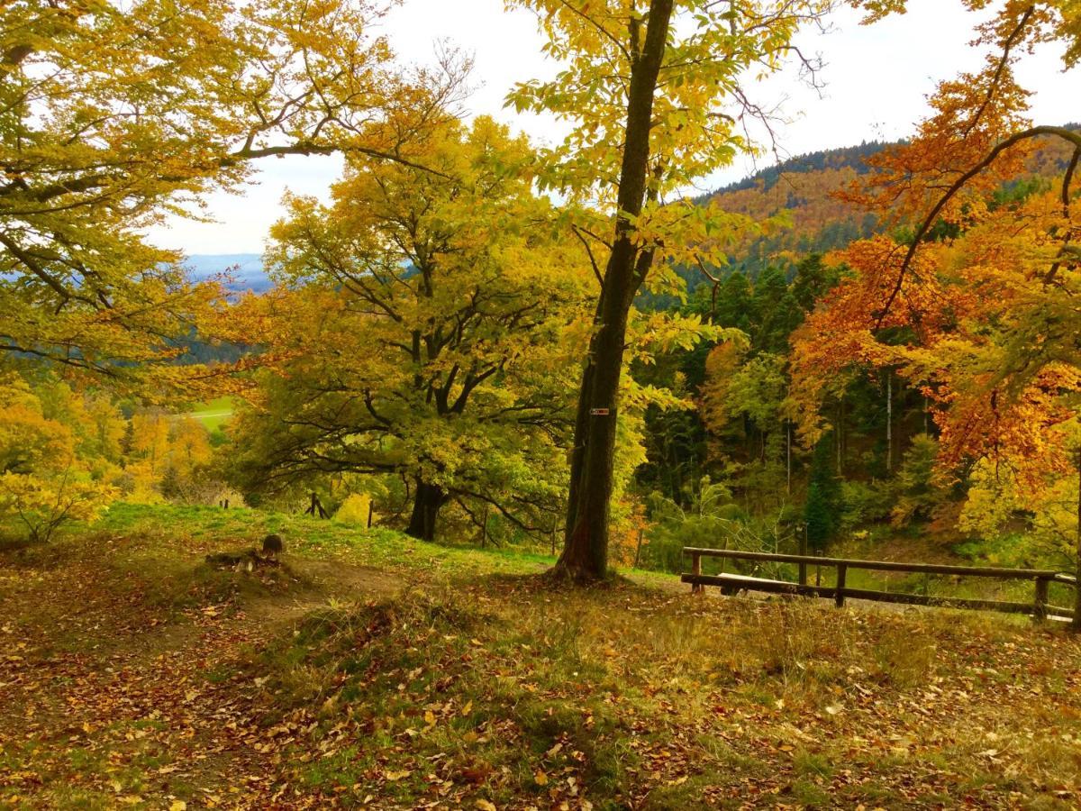 Gite Leonline Sur Les Hauteurs De Masevaux -Au Pied Des Vosges Экстерьер фото