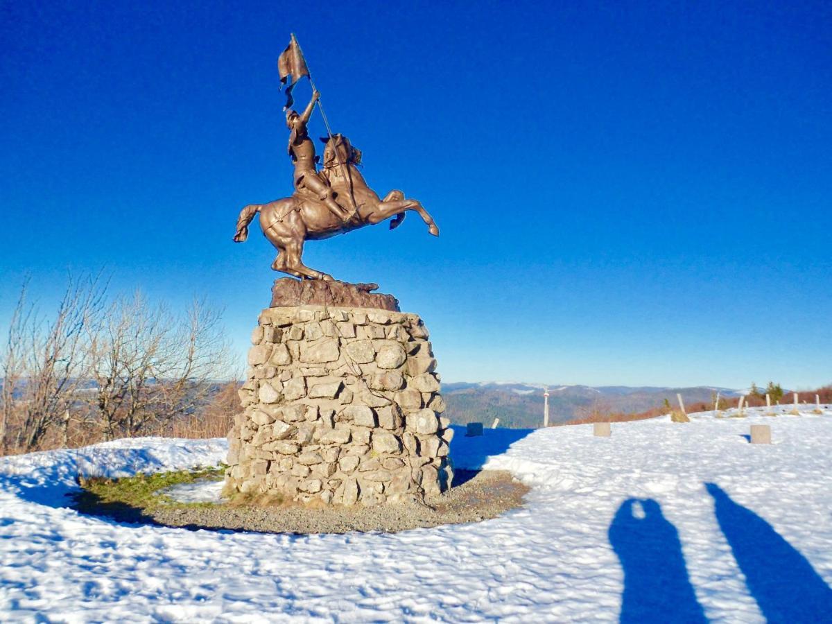 Gite Leonline Sur Les Hauteurs De Masevaux -Au Pied Des Vosges Экстерьер фото