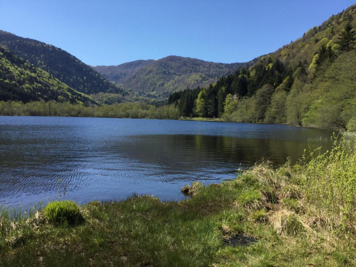 Gite Leonline Sur Les Hauteurs De Masevaux -Au Pied Des Vosges Экстерьер фото