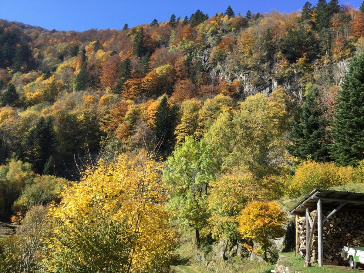 Gite Leonline Sur Les Hauteurs De Masevaux -Au Pied Des Vosges Экстерьер фото