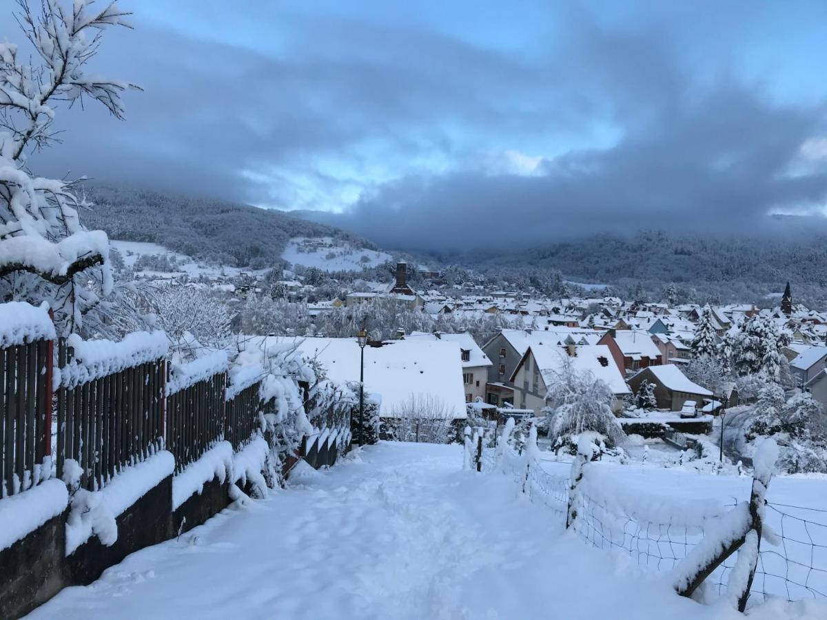 Gite Leonline Sur Les Hauteurs De Masevaux -Au Pied Des Vosges Экстерьер фото